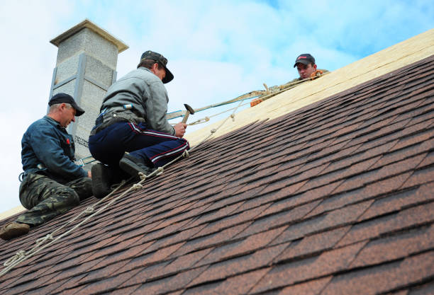 Professional Roofing Contractor in Greenwood, LA